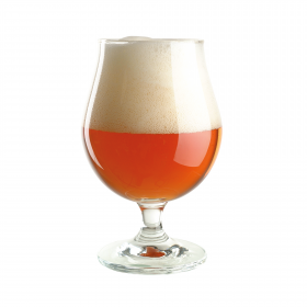 Beer kit BREWFERM Special Belge