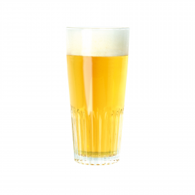Beer kit BREWFERM Pilsner