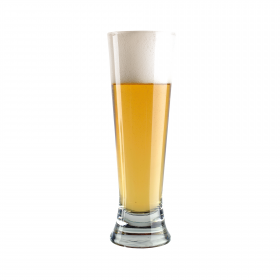 Beer kit BREWFERM Premium Pilsner